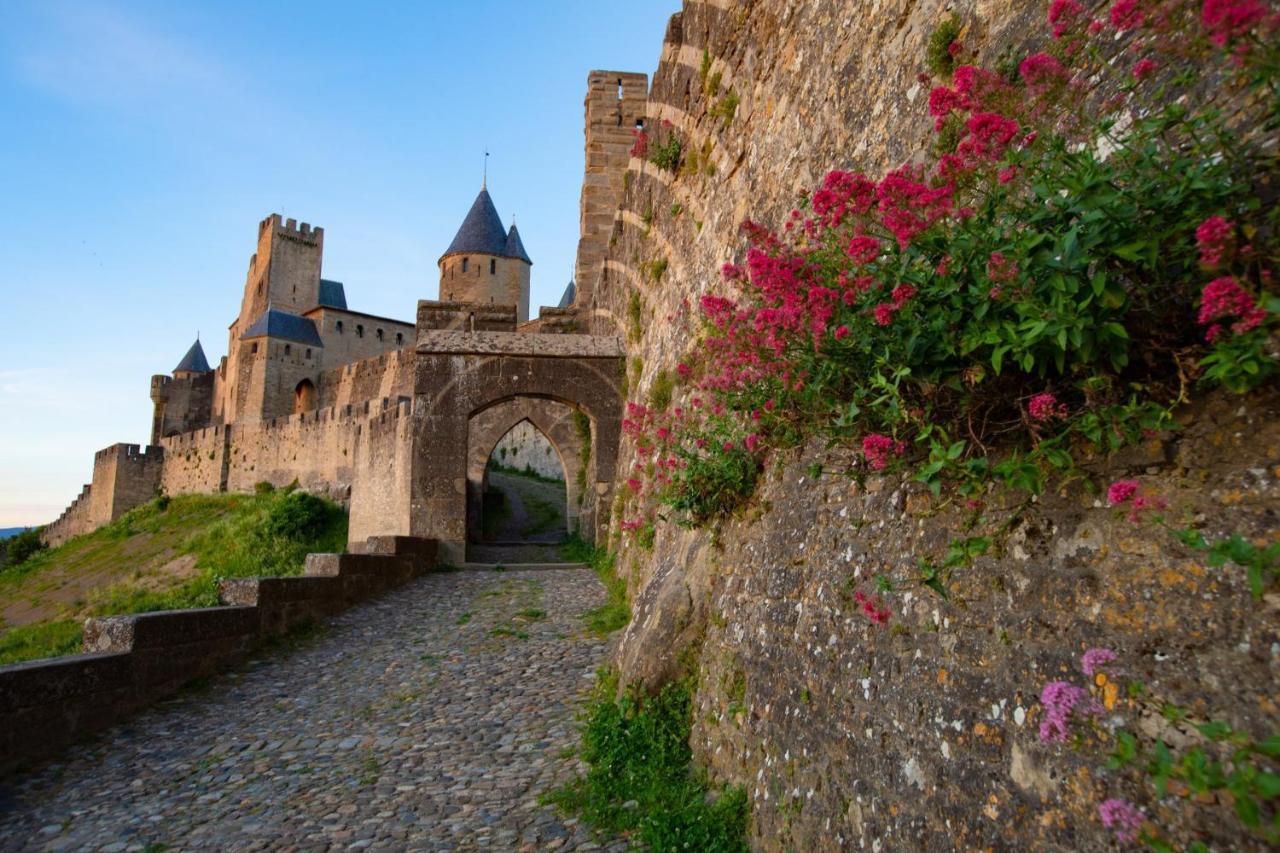 Tout Confort ! Calme, Climatisation, Parking Gratuit, Grande Terrasse, Ascenseur, Wifi Carcassonne Exteriör bild