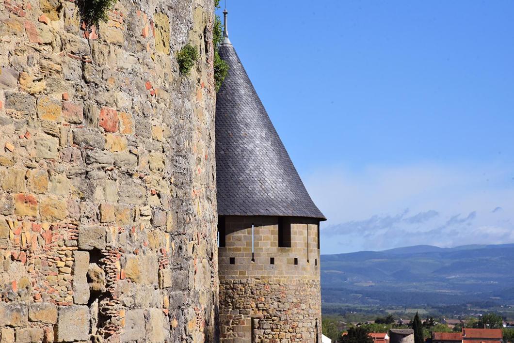 Tout Confort ! Calme, Climatisation, Parking Gratuit, Grande Terrasse, Ascenseur, Wifi Carcassonne Exteriör bild