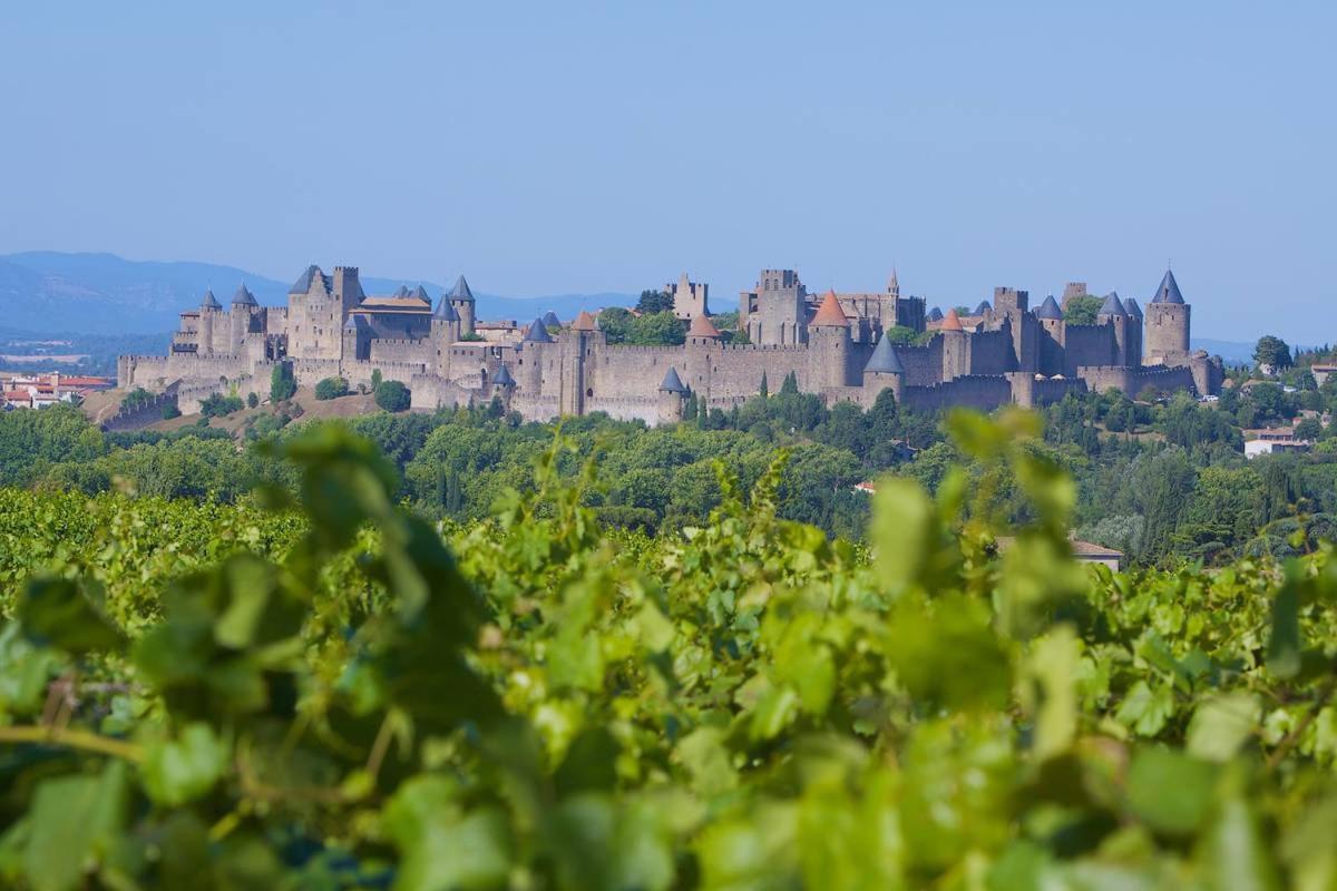 Tout Confort ! Calme, Climatisation, Parking Gratuit, Grande Terrasse, Ascenseur, Wifi Carcassonne Exteriör bild